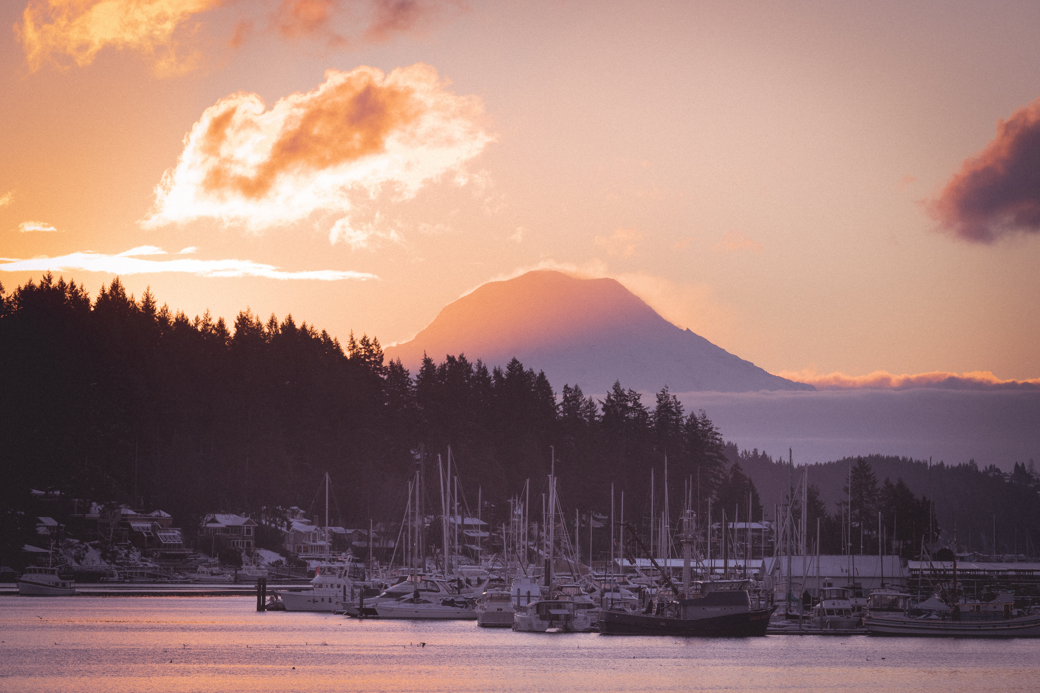 Preparing a Gig Harbor home for sale